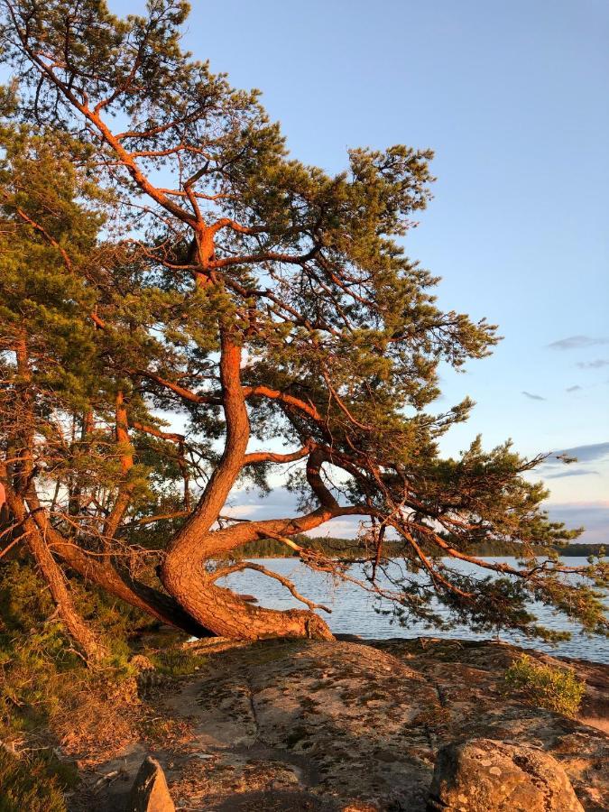 Joarsbo, Stuga 1, Sjoelyckan Kalv Bagian luar foto